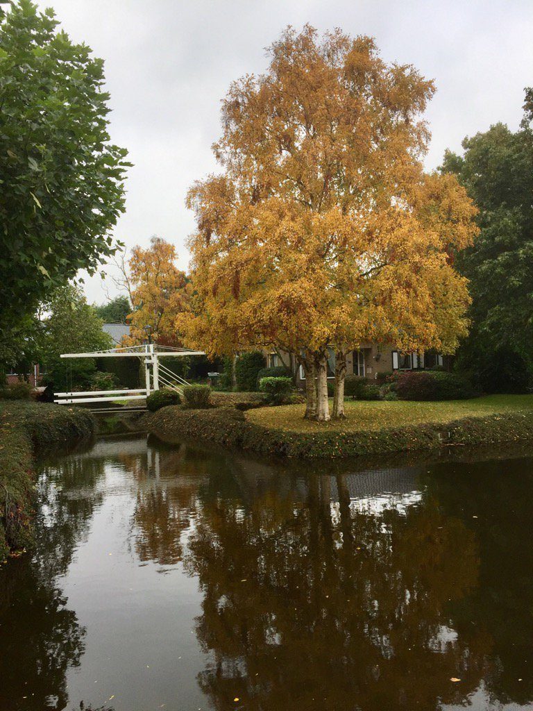 De Kwakel (c) 2016 Martin Lamboo