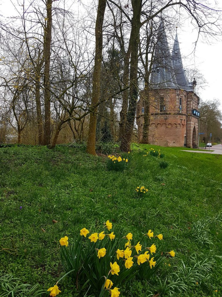 Kampen - Martin Lamboo (c) 2017