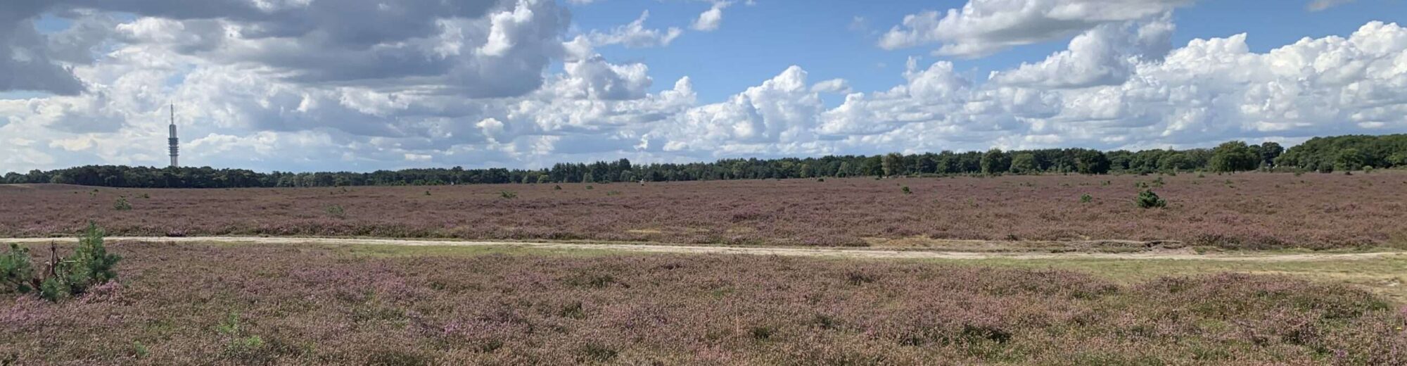 Vakantieland Nederland