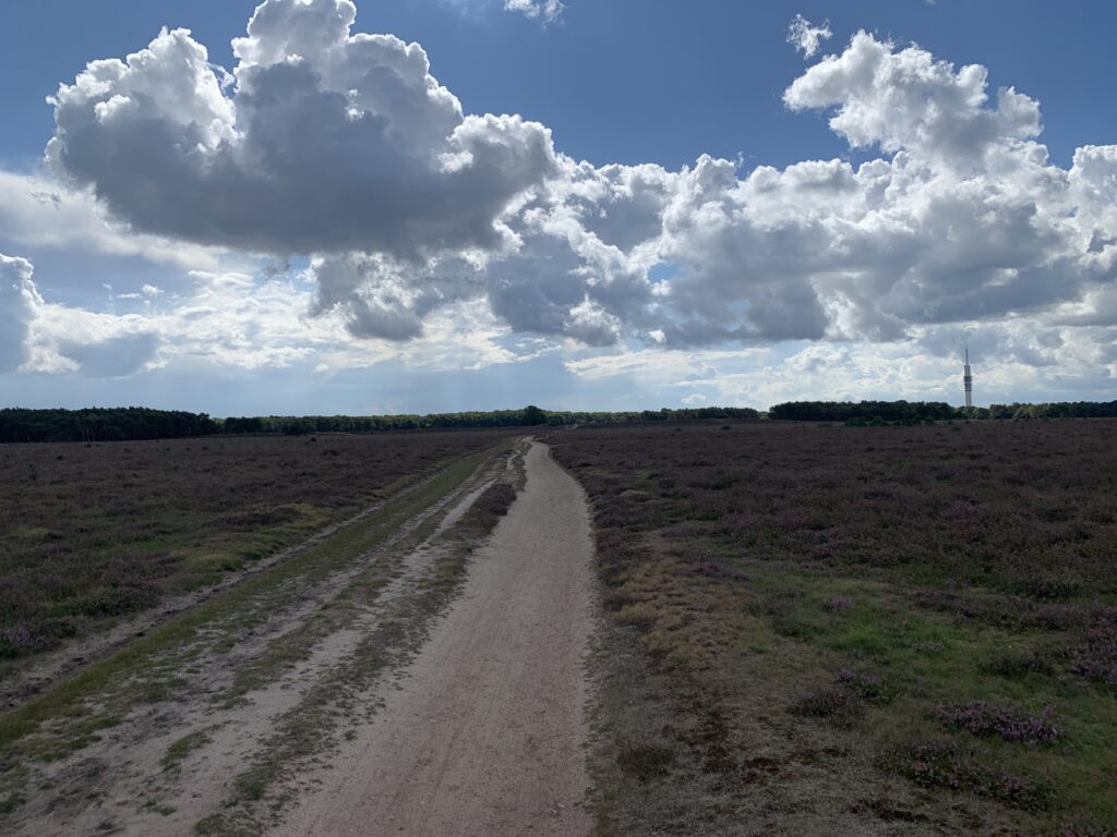 Bussummerheide, Bussum (c) 2025 VakantielandNederland.nl