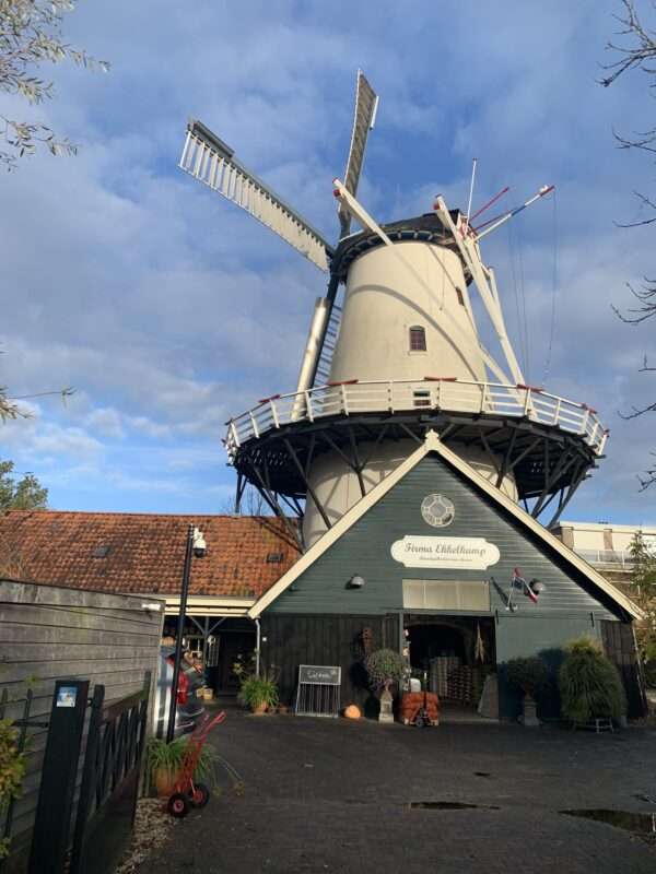 Haren (c) 2025 Vakantielandnederland.nl